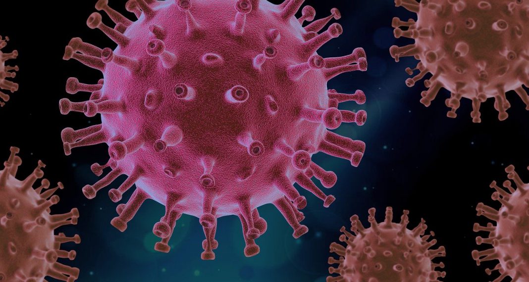 Nowy koronawirus COVID-19 - czy jest groźniejszy niż grypa sezonowa?